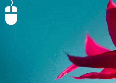 mouse gesture.gif
